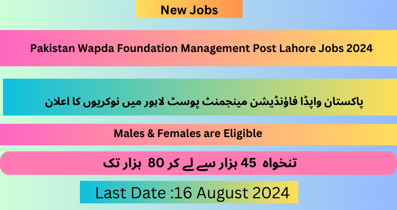 Pakistan Wapda Foundation Management Post Lahore Jobs 2024