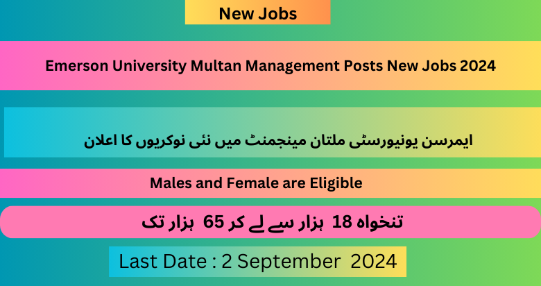 Emerson University Multan Management Posts New Jobs 2024