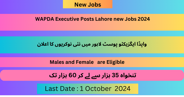  WAPDA Executive Posts Lahore new Jobs 2024