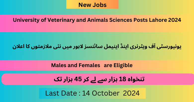 University of Veterinary and Animals Sciences Posts Lahore 2024