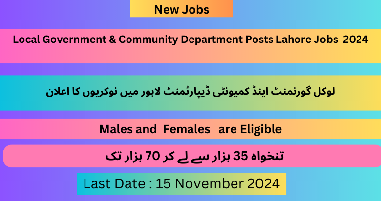 Local Government & Community Department Posts Lahore Jobs 2024