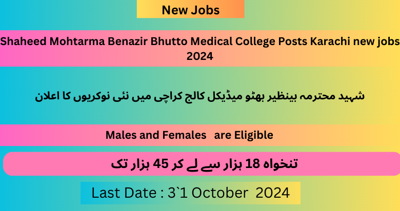 Shaheed Mohtarma Benazir Bhutto Medical College Karachi jobs 2024